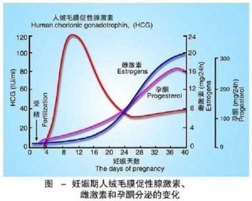 孕期激素变化(孕期激素变化曲线) 第2张 孕期激素变化(孕期激素变化曲线) 第2张