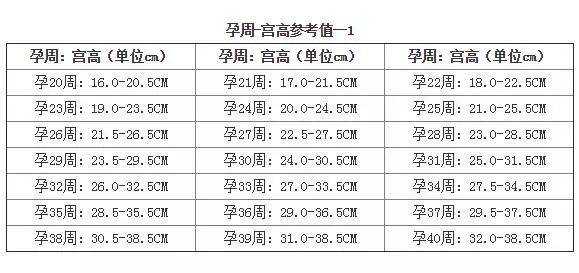 孕期宫颈管长度多少,孕期宫颈管长度参照表 第2张 孕期宫颈管长度多少,孕期宫颈管长度参照表 第2张