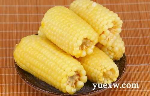 孕期能吃玉米吗(孕期能吃玉米吗煮熟的) 第2张 孕期能吃玉米吗(孕期能吃玉米吗煮熟的) 第2张