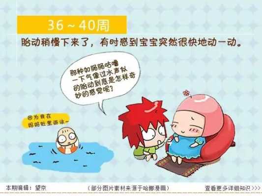 胎儿胎动(宝宝什么时候有胎动) 第1张 胎儿胎动(宝宝什么时候有胎动) 第1张