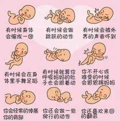 胎儿胎动(宝宝什么时候有胎动) 第2张 胎儿胎动(宝宝什么时候有胎动) 第2张