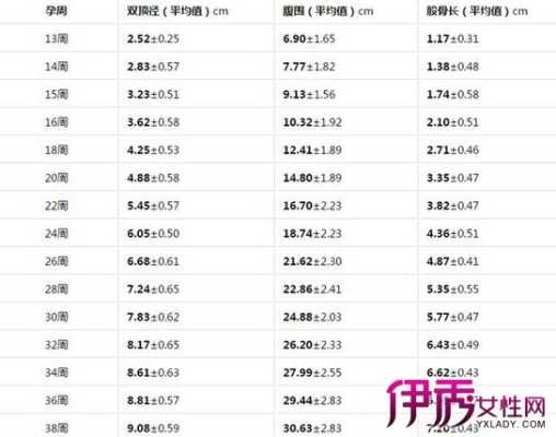 胎儿38周(胎儿38周发育标准尺寸) 第2张 胎儿38周(胎儿38周发育标准尺寸) 第2张