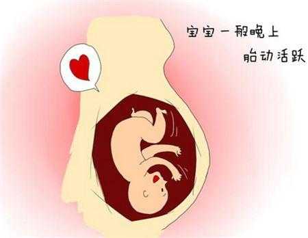 胎儿睡觉(胎儿睡觉的时候会有胎动吗) 第2张 胎儿睡觉(胎儿睡觉的时候会有胎动吗) 第2张