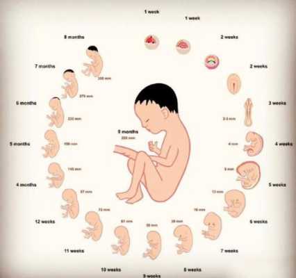 胎儿健康(胎儿健康不健康几个月能查出来呀) 第2张 胎儿健康(胎儿健康不健康几个月能查出来呀) 第2张