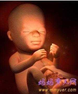 26周宝宝在肚子里是什么样子,胎儿26周发育指标 第3张 26周宝宝在肚子里是什么样子,胎儿26周发育指标 第3张