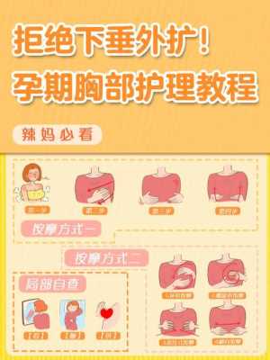 孕期乳房护理(孕期乳房护理正确方法) 第2张 孕期乳房护理(孕期乳房护理正确方法) 第2张