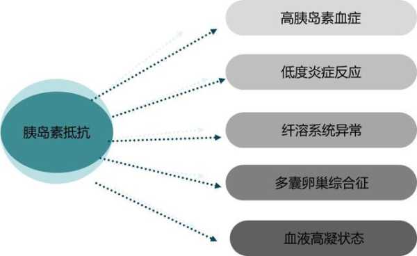 孕期胰岛素抵抗(孕期胰岛素抵抗怎么控制) 第3张 孕期胰岛素抵抗(孕期胰岛素抵抗怎么控制) 第3张
