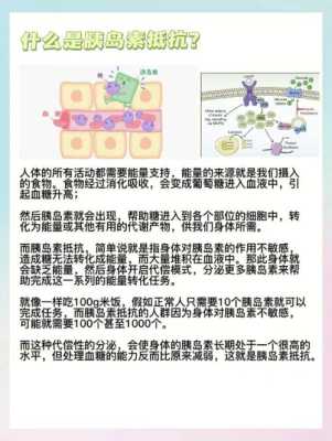 孕期胰岛素抵抗(孕期胰岛素抵抗怎么控制) 第2张 孕期胰岛素抵抗(孕期胰岛素抵抗怎么控制) 第2张