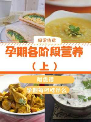 胎儿怎样吸收母体营养,胎儿营养不良怎么补得回来 第3张 胎儿怎样吸收母体营养,胎儿营养不良怎么补得回来 第3张