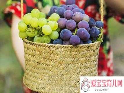 孕期可以吃葡萄吗(孕妇可以吃葡萄吗?孕早期) 第2张 孕期可以吃葡萄吗(孕妇可以吃葡萄吗?孕早期) 第2张