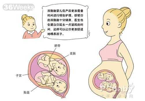 胎儿姿势（孕36周胎儿在子宫姿势是怎样的？快足月了，怎样产检合适呢）  第3张
