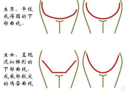 孕期怎么看男女(孕期怎么看男女) 第3张 孕期怎么看男女(孕期怎么看男女) 第3张