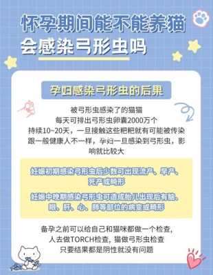 孕期感染弓形虫(怀孕5个多月有弓形虫怎么办呢!可以治好吗) 第1张 孕期感染弓形虫(怀孕5个多月有弓形虫怎么办呢!可以治好吗) 第1张