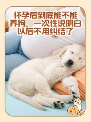孕妇能养狗吗,怀孕期间养狗到底有没有影响 第2张 孕妇能养狗吗,怀孕期间养狗到底有没有影响 第2张