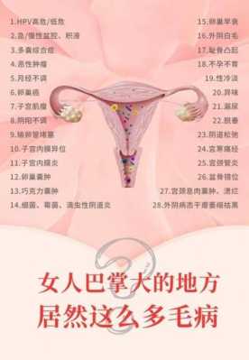 妇科病有哪些种类,孕期分类早中晚期多少周 第1张 妇科病有哪些种类,孕期分类早中晚期多少周 第1张
