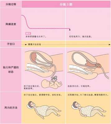自然分娩胎儿从哪里出来,胎儿分娩的七个步骤示意图 第2张 自然分娩胎儿从哪里出来,胎儿分娩的七个步骤示意图 第2张