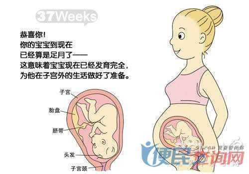 胎儿过大（胎儿过大怎么控制）  第3张