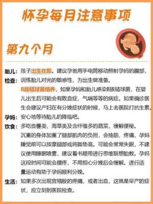 孕期头三个月（孕期头三个月注意事项）  第2张