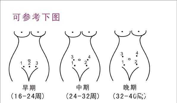 胎儿正常胎心(胎儿的胎心在哪个位置听) 第1张 胎儿正常胎心(胎儿的胎心在哪个位置听) 第1张