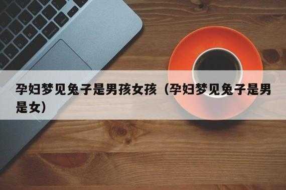 孕期梦见兔子(孕期梦见兔子是男是女) 第1张 孕期梦见兔子(孕期梦见兔子是男是女) 第1张