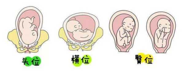 胎儿不爱动是怎么回事,胎儿不爱动是什么原因 第2张 胎儿不爱动是怎么回事,胎儿不爱动是什么原因 第2张