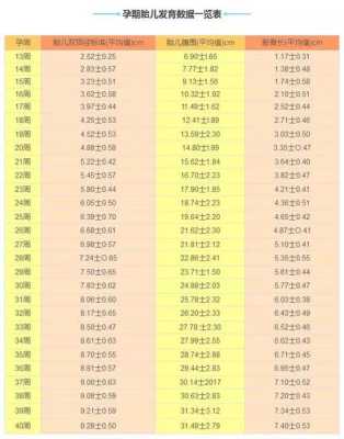 孕23周胎儿(孕23周胎儿体重标准是多少) 第2张 孕23周胎儿(孕23周胎儿体重标准是多少) 第2张