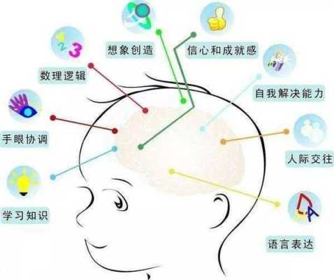 胎儿大脑发育（胎儿大脑发育是几个月）  第3张