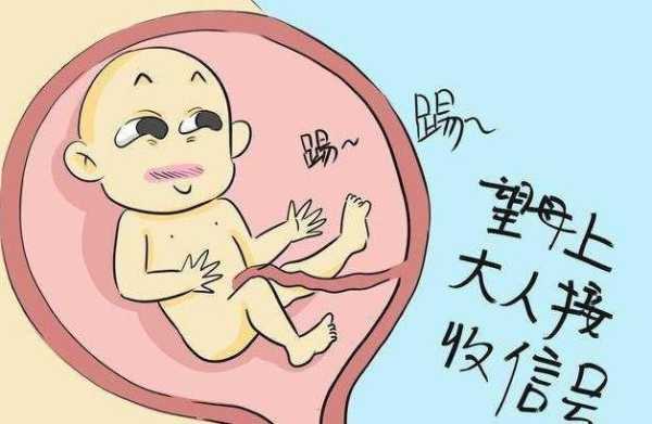 胎儿踢肚子(胎儿踢肚子是什么感觉) 第1张 胎儿踢肚子(胎儿踢肚子是什么感觉) 第1张
