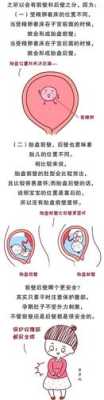 胎儿位于前壁和后壁有什么区别,胎儿后壁是男还是女 第2张 胎儿位于前壁和后壁有什么区别,胎儿后壁是男还是女 第2张