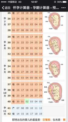 孕期如何算(孕妇早中晚期怎么算的,分别是哪几周) 第3张 孕期如何算(孕妇早中晚期怎么算的,分别是哪几周) 第3张