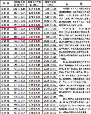 孕期如何算(孕妇早中晚期怎么算的,分别是哪几周) 第2张 孕期如何算(孕妇早中晚期怎么算的,分别是哪几周) 第2张