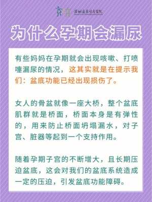 孕妇打喷嚏漏尿是什么问题呢?孕八个月多了,需要检查吗,孕期漏尿怎么办缓解 第2张 孕妇打喷嚏漏尿是什么问题呢?孕八个月多了,需要检查吗,孕期漏尿怎么办缓解 第2张
