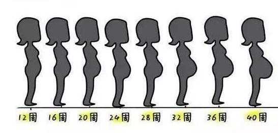 胎儿肚子大(胎儿肚子大怎么回事) 第2张 胎儿肚子大(胎儿肚子大怎么回事) 第2张
