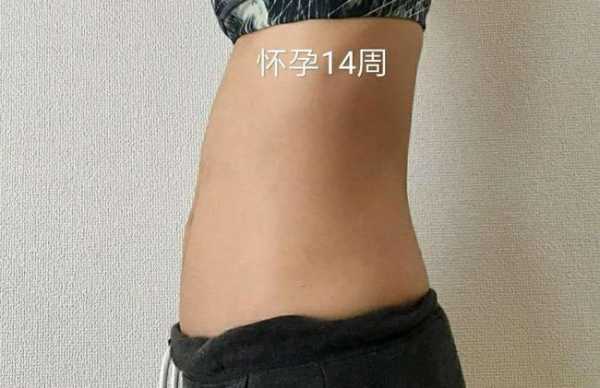 胎儿肚子大(胎儿肚子大怎么回事) 第3张 胎儿肚子大(胎儿肚子大怎么回事) 第3张