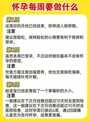 怀孕期间要注意什么(怀孕六周要注意什么) 第3张 怀孕期间要注意什么(怀孕六周要注意什么) 第3张