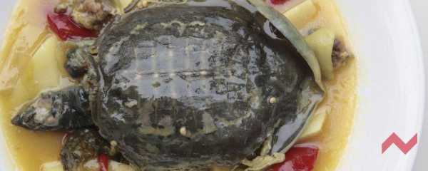 孕期吃甲鱼(孕期吃甲鱼有影响吗) 第3张 孕期吃甲鱼(孕期吃甲鱼有影响吗) 第3张