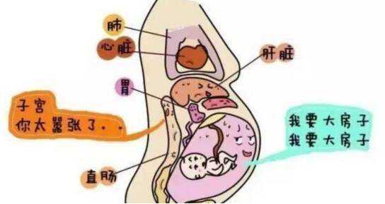 孕晚期大便后外阴肿胀是何原因, 第1张 孕晚期大便后外阴肿胀是何原因, 第1张