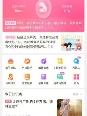 记录孕期的软件(想要一款记录孕猫的app,求推荐) 第1张 记录孕期的软件(想要一款记录孕猫的app,求推荐) 第1张