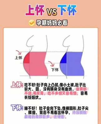 孕期怎么分(孕期怎么分早中晚三期) 第1张 孕期怎么分(孕期怎么分早中晚三期) 第1张