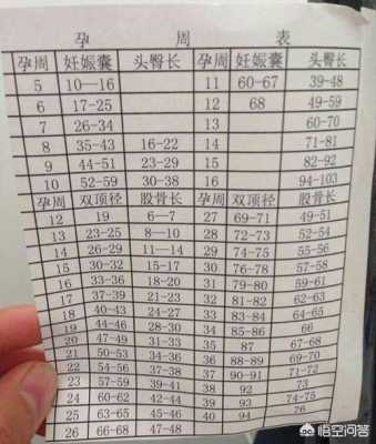 胎儿偏小两周正常吗,胎儿小两周是不是代表发育不正常 第2张 胎儿偏小两周正常吗,胎儿小两周是不是代表发育不正常 第2张
