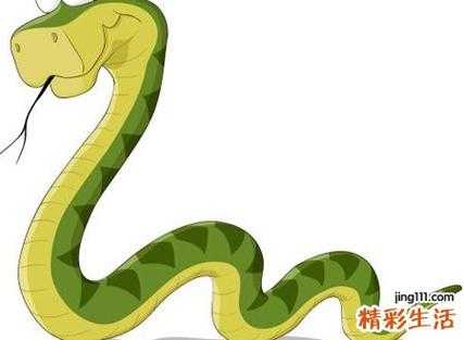 怀孕期间梦到蛇（怀孕期间梦到蛇）  第2张