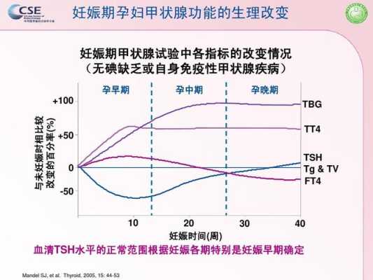 孕期甲状腺激素高(孕期甲状腺激素高是什么原因造成的) 第2张 孕期甲状腺激素高(孕期甲状腺激素高是什么原因造成的) 第2张