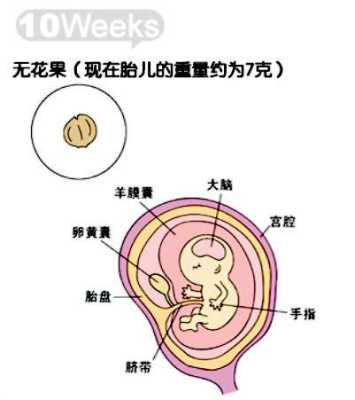 胎儿偏小3周怎么办,胎儿偏小三周会不会有什么问题 第3张 胎儿偏小3周怎么办,胎儿偏小三周会不会有什么问题 第3张