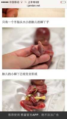 胎儿记忆(6个月婴儿记忆有几天) 第1张 胎儿记忆(6个月婴儿记忆有几天) 第1张