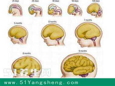 胎儿记忆(6个月婴儿记忆有几天) 第2张 胎儿记忆(6个月婴儿记忆有几天) 第2张