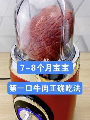 8个月的胎儿(8个月宝宝可以吃什么肉?怎么做) 第2张 8个月的胎儿(8个月宝宝可以吃什么肉?怎么做) 第2张