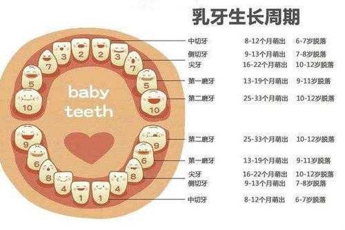 孩子有两周岁了牙齿只有12颗正常吗,胎儿正常心率是多少正常 第1张 孩子有两周岁了牙齿只有12颗正常吗,胎儿正常心率是多少正常 第1张