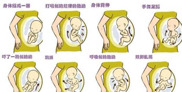 胎儿一直在动(怀孕34周宝宝突然一直动是什么原因) 第2张 胎儿一直在动(怀孕34周宝宝突然一直动是什么原因) 第2张