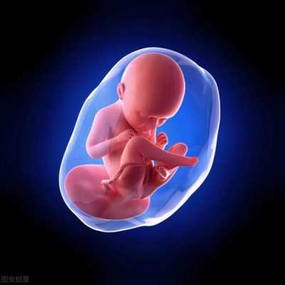 孕11周双顶径1.7孩子大,还是小,11周的胎儿有多大 第2张 孕11周双顶径1.7孩子大,还是小,11周的胎儿有多大 第2张