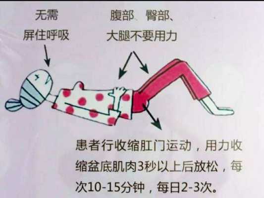 孕期盆底肌训练(盆底肌肉训练的方法) 第2张 孕期盆底肌训练(盆底肌肉训练的方法) 第2张